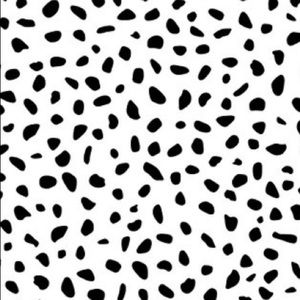 Meet your Posher, Brylee